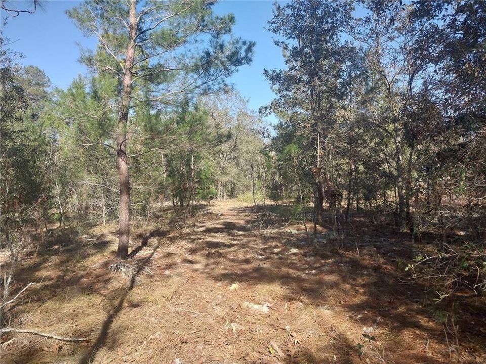 For Sale: $32,500 (2.32 acres)