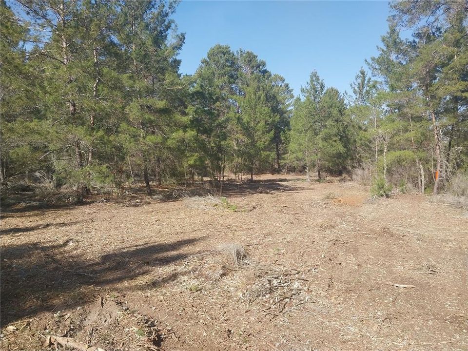 For Sale: $32,500 (2.32 acres)