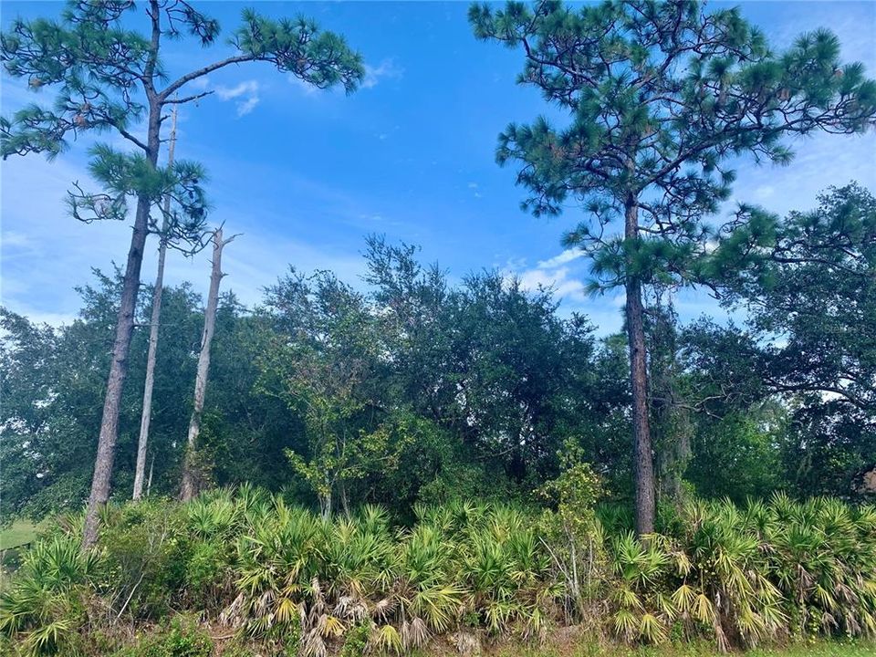 Recently Sold: $144,999 (1.03 acres)