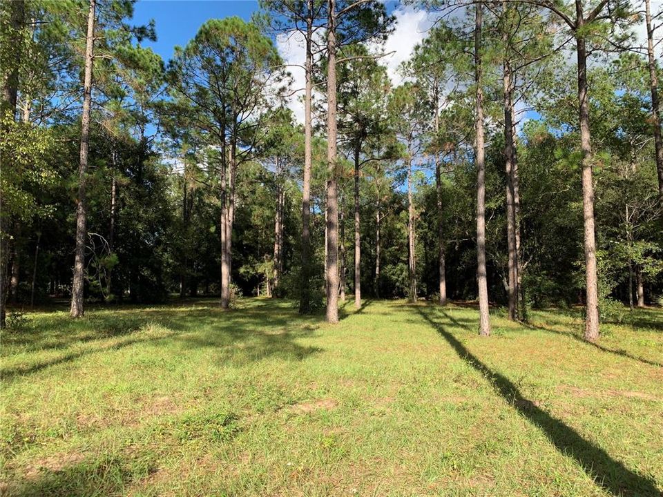 Recently Sold: $549,000 (10.30 acres)