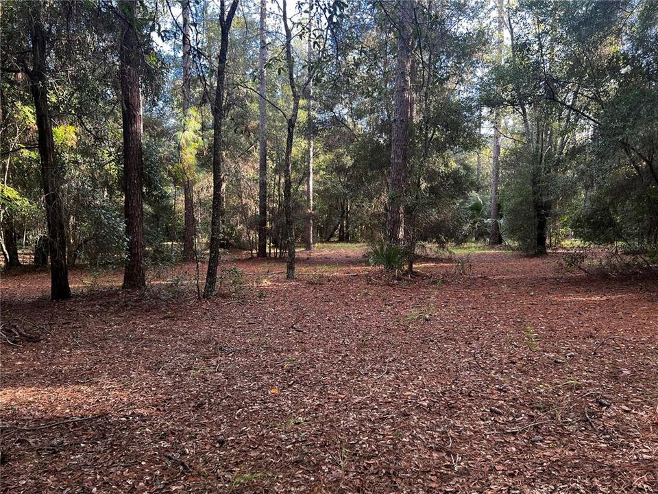 Vendido Recientemente: $549,000 (10.30 acres)