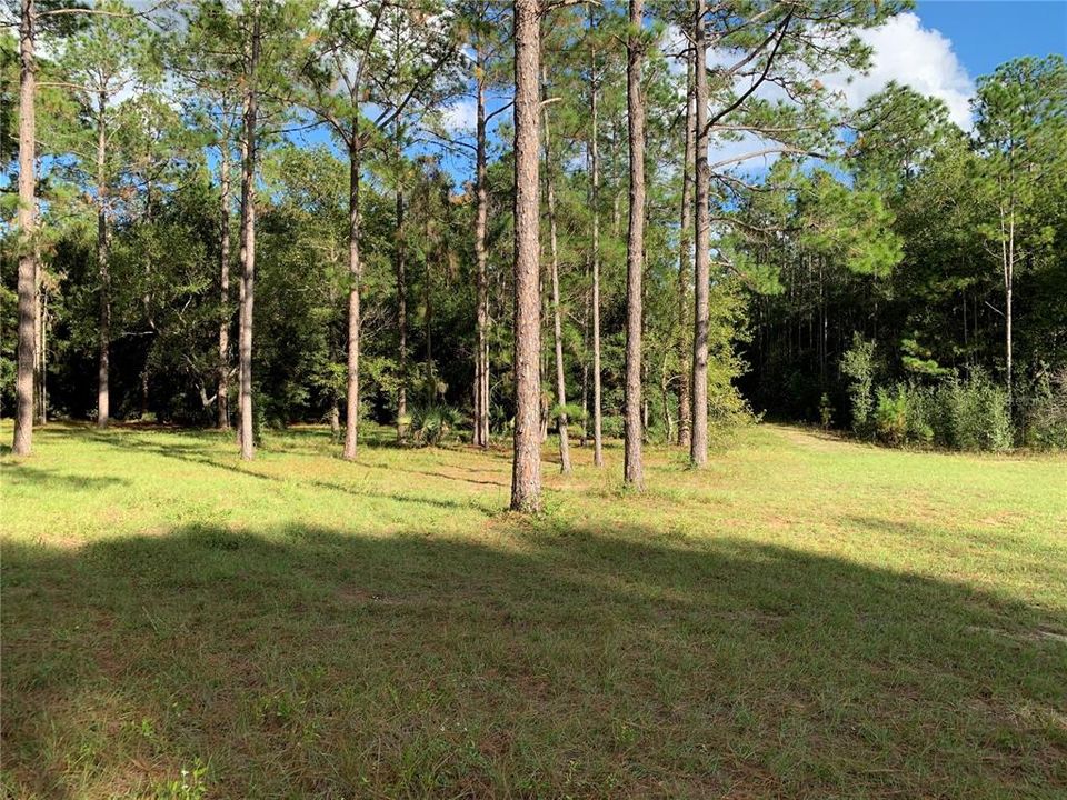 Recently Sold: $549,000 (10.30 acres)