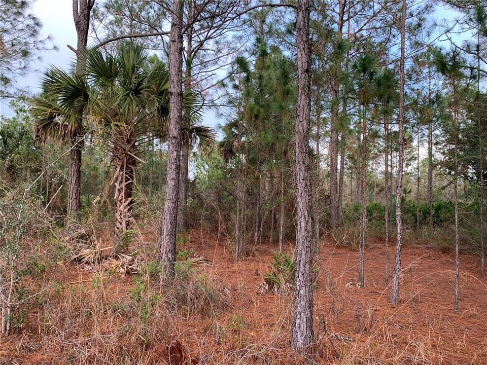 Recently Sold: $16,000 (0.46 acres)