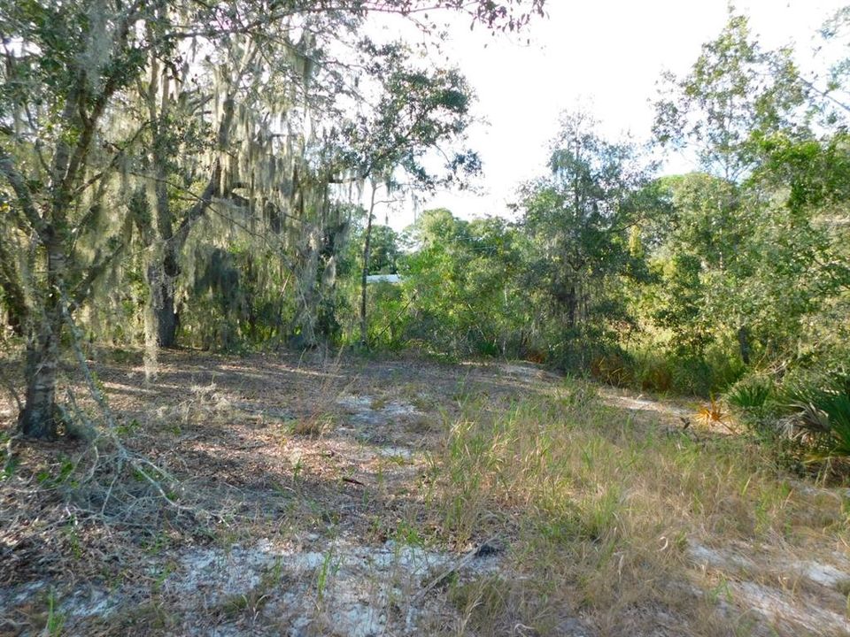 For Sale: $49,000 (1.00 acres)