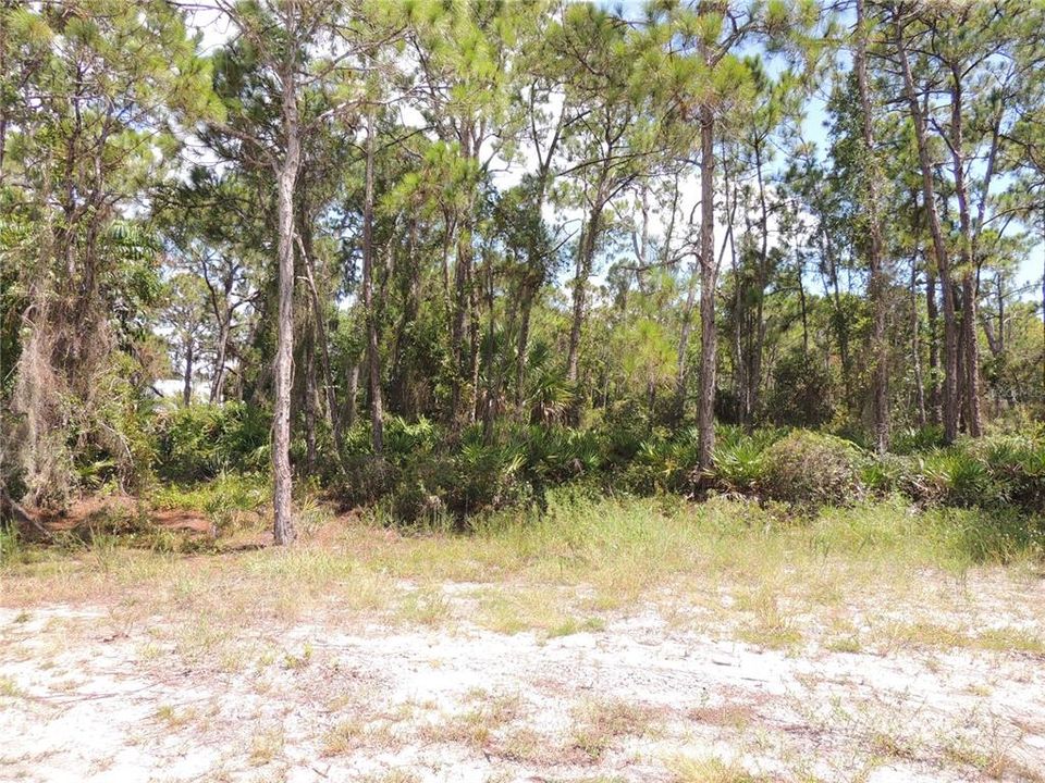 Active With Contract: $99,900 (0.42 acres)