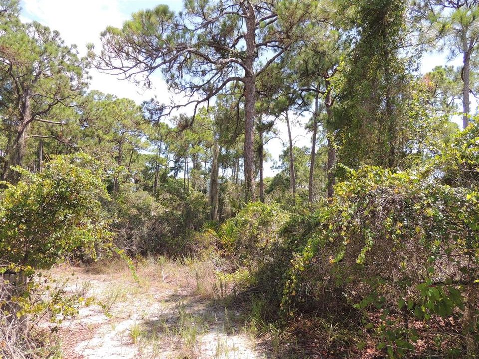 Active With Contract: $99,900 (0.42 acres)