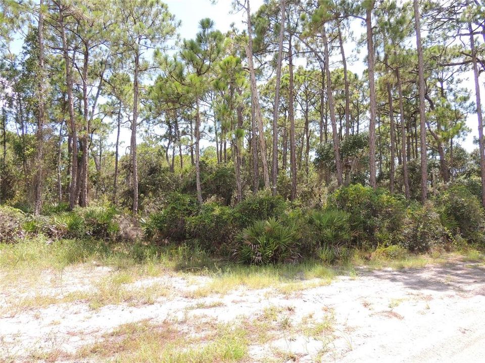 Active With Contract: $99,900 (0.42 acres)