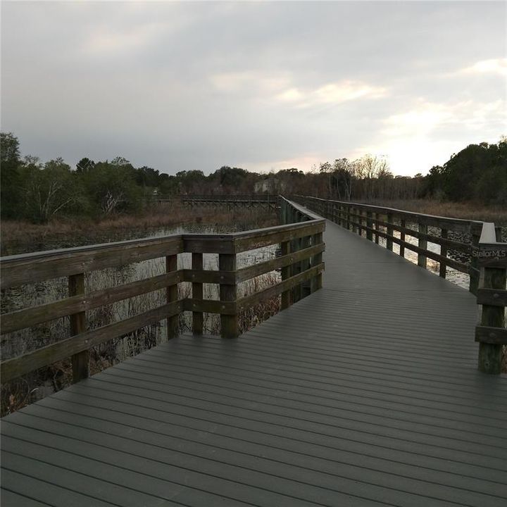 Walking Bridge