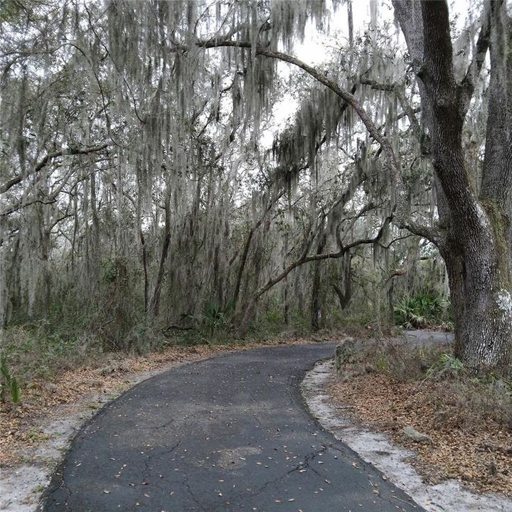 Magestic Walking Path