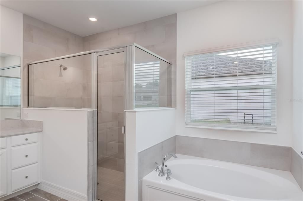 Walk-in Shower and Soaker Tub