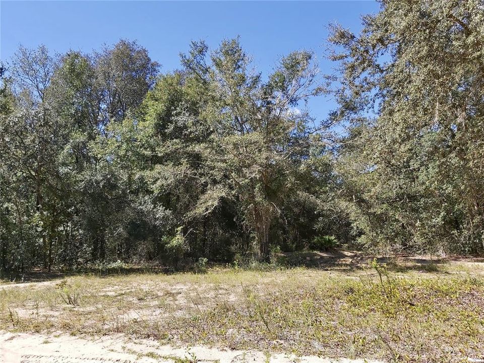 Recently Sold: $11,825 (0.74 acres)