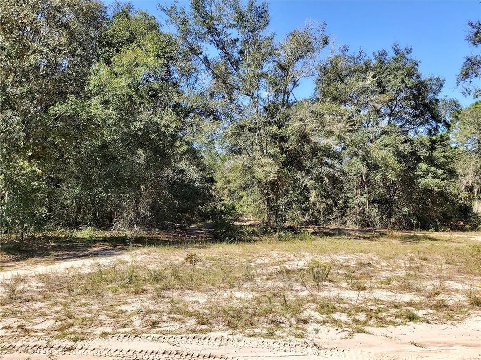 Recently Sold: $11,825 (0.74 acres)