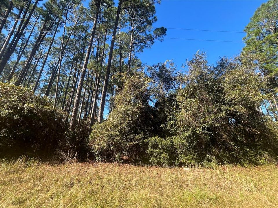 Recently Sold: $10,000 (0.26 acres)