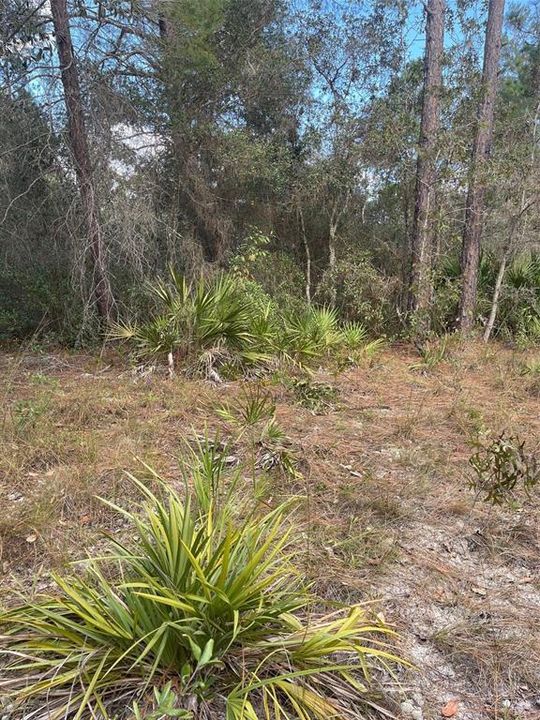 Recently Sold: $59,900 (2.48 acres)