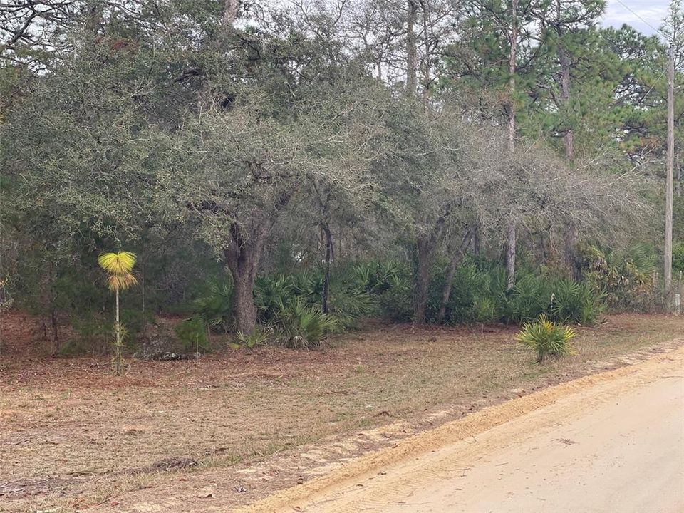 Vendido Recientemente: $59,900 (2.48 acres)