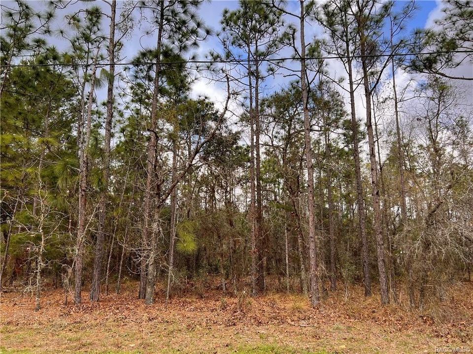 Recently Sold: $27,900 (0.25 acres)