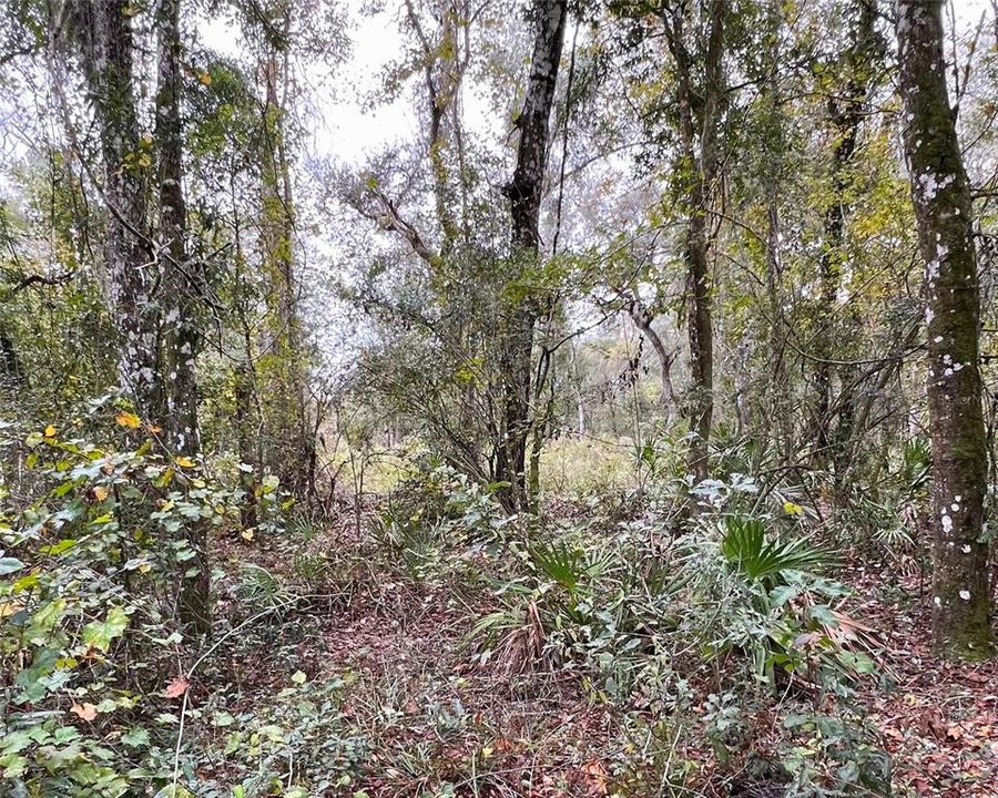 En Venta: $23,000 (0.61 acres)