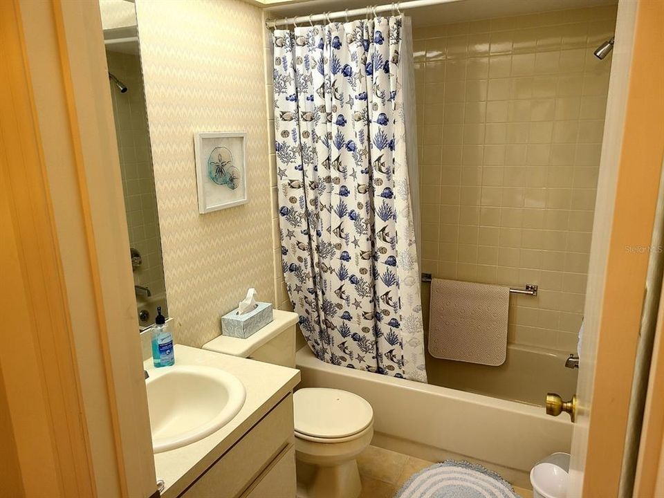Hall Bathroom Tub & Shower