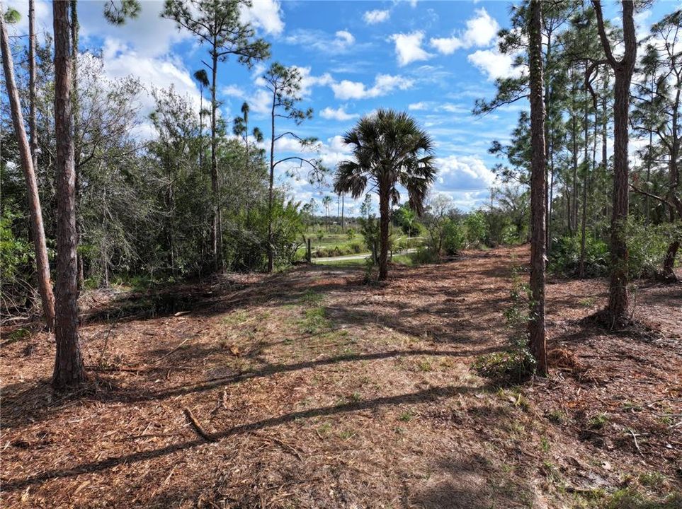 For Sale: $299,999 (5.09 acres)