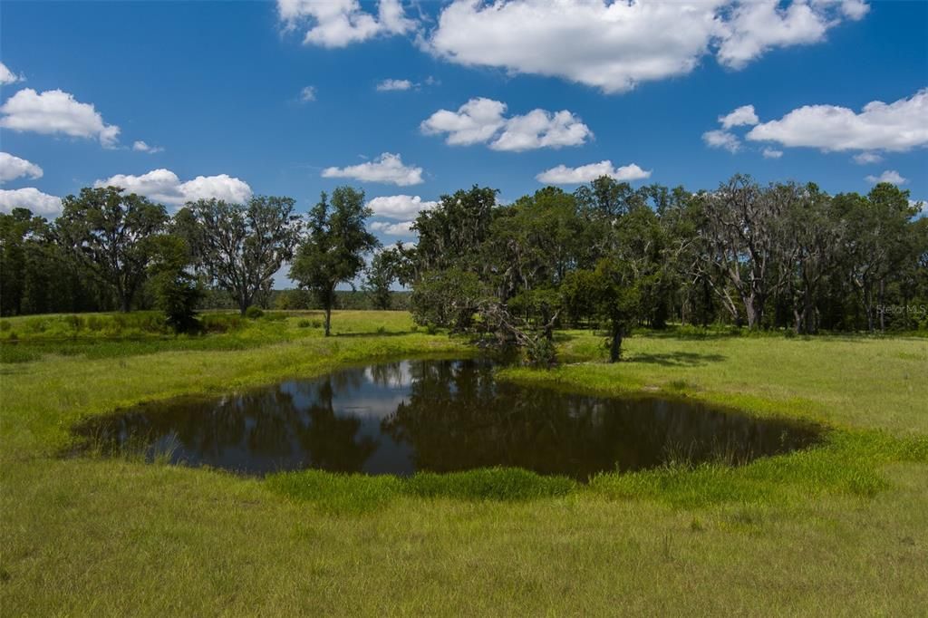 Vendido Recientemente: $1,700,000 (25.00 acres)