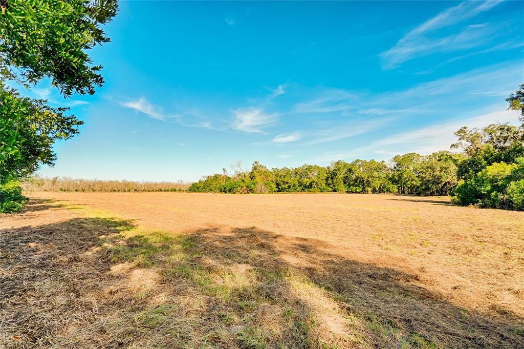 На продажу: $99,000 (5.78 acres)