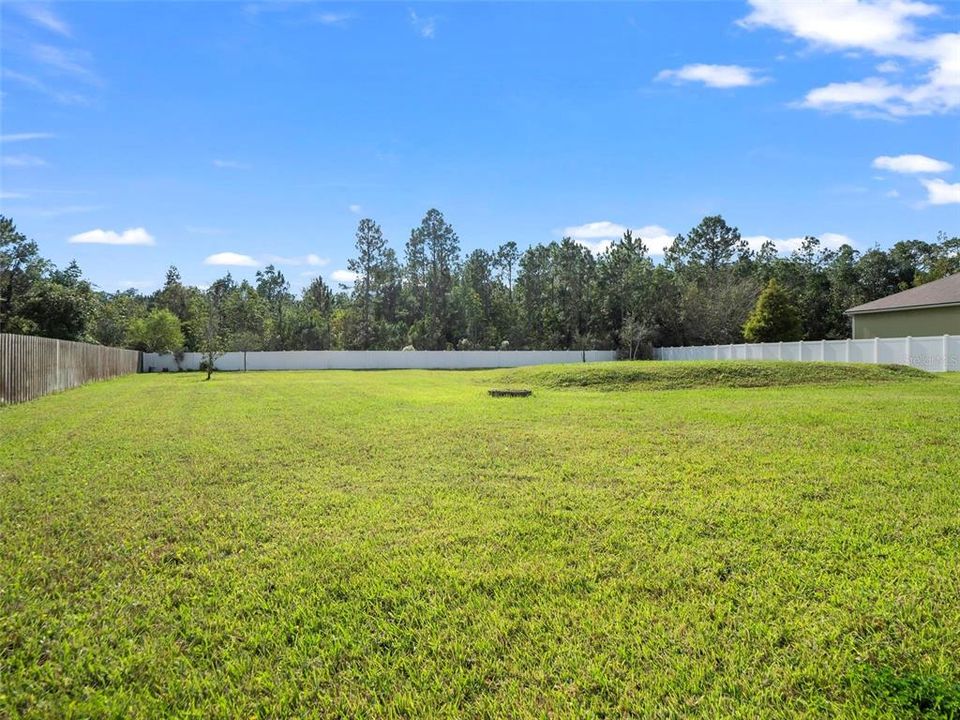 Expansive Rear Yard