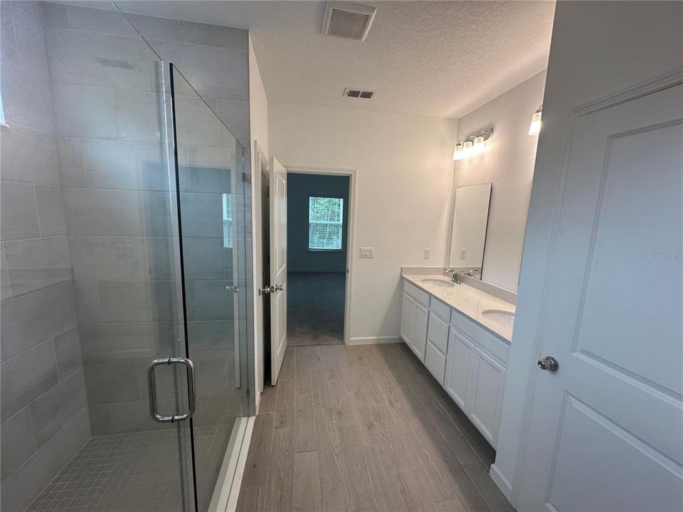 Master Bath from Walk-in