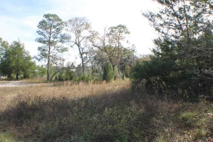 For Sale: $350,000 (1.95 acres)