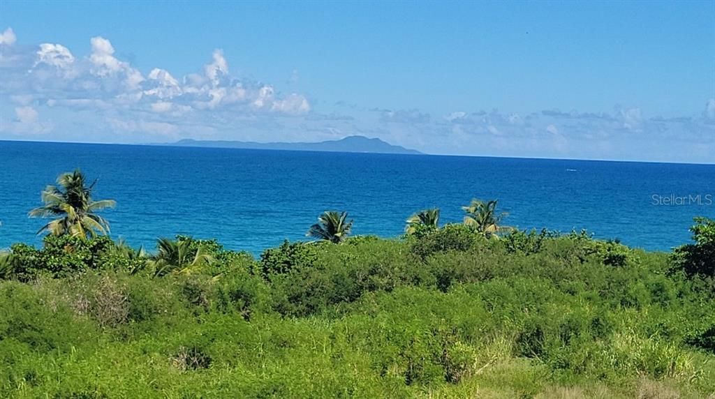 Vieques view