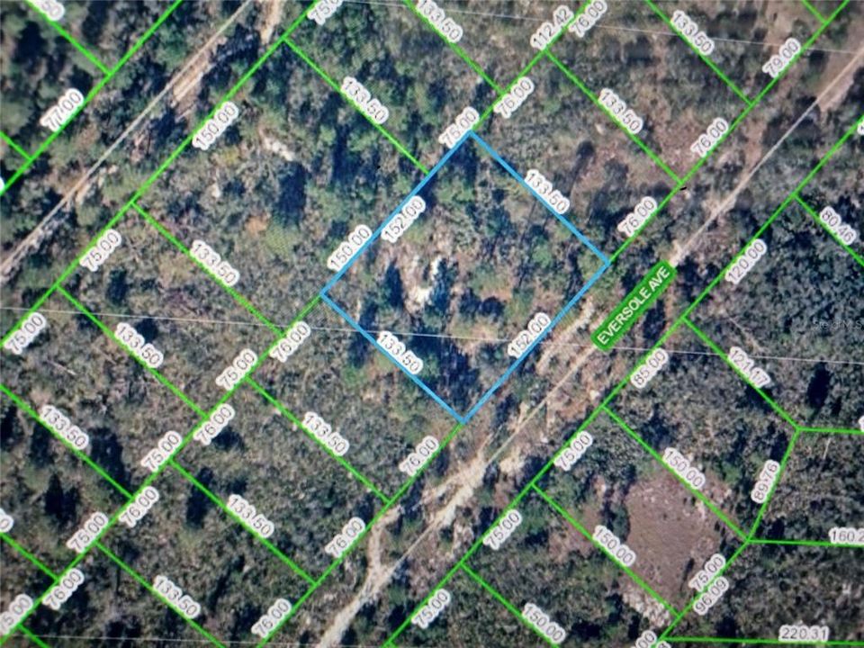 Blue highlighted lot for sale. There is a clear path to access the lot