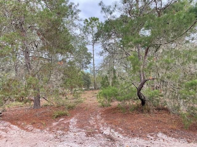 Recently Sold: $179,000 (5.00 acres)