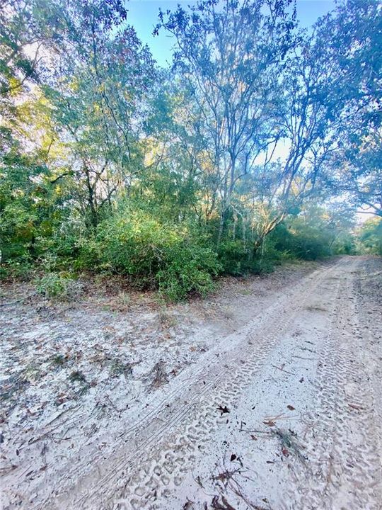 For Sale: $19,000 (0.22 acres)