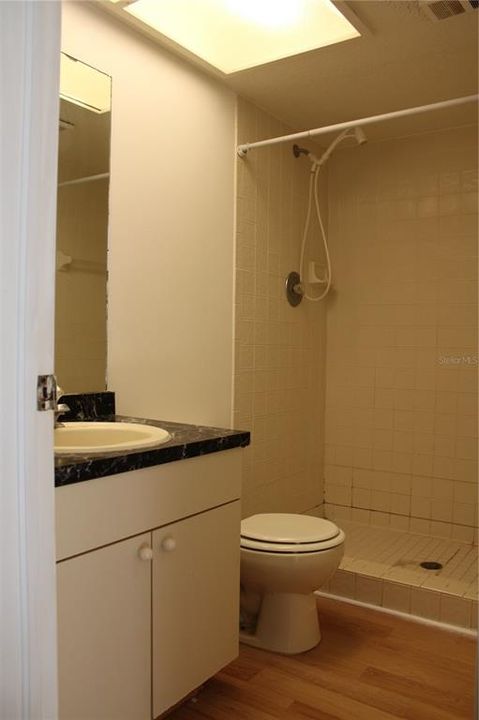 Main bathroom