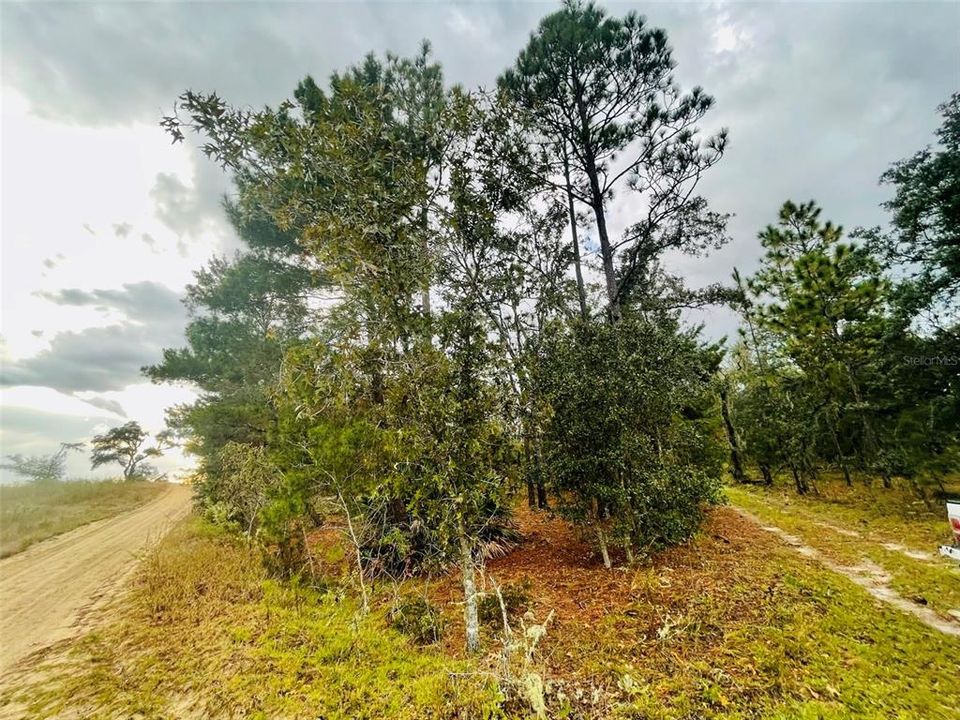 Recently Sold: $39,900 (2.50 acres)