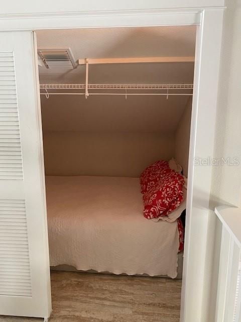 Primary BR walk in closet with double bed hidden away