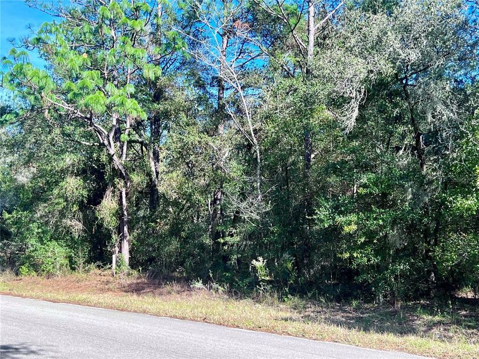 Lot 27 - SW 209th Court Rd.