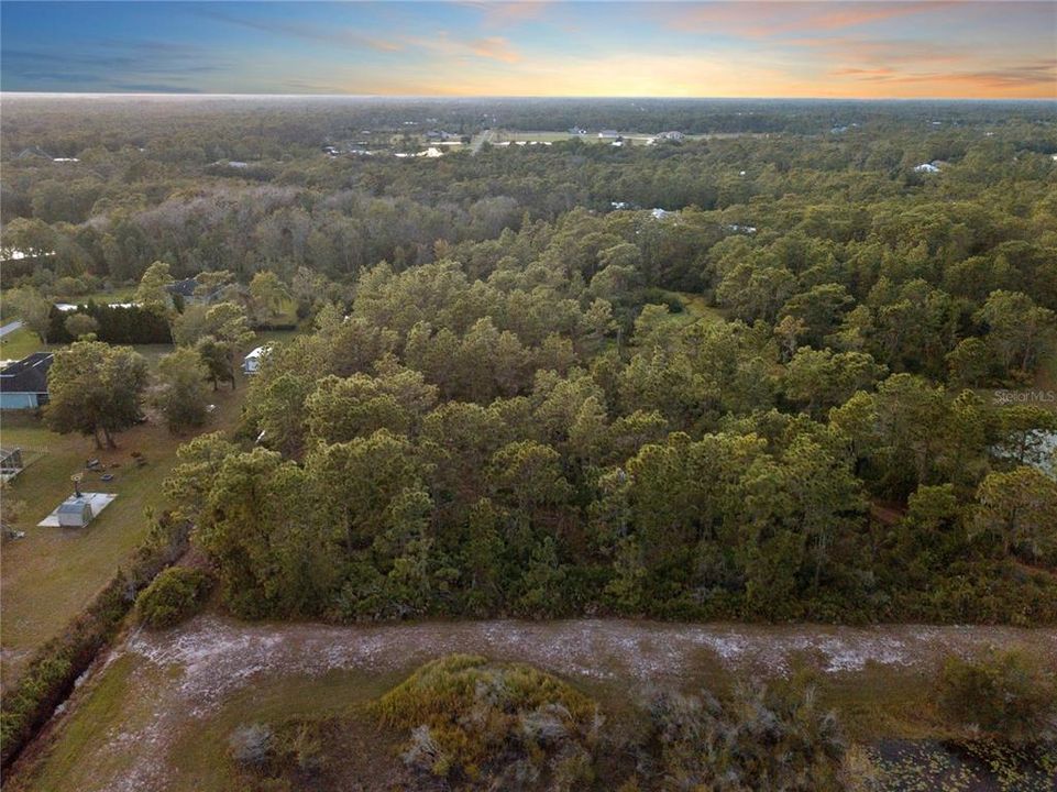 Eastern Aerial of the lot