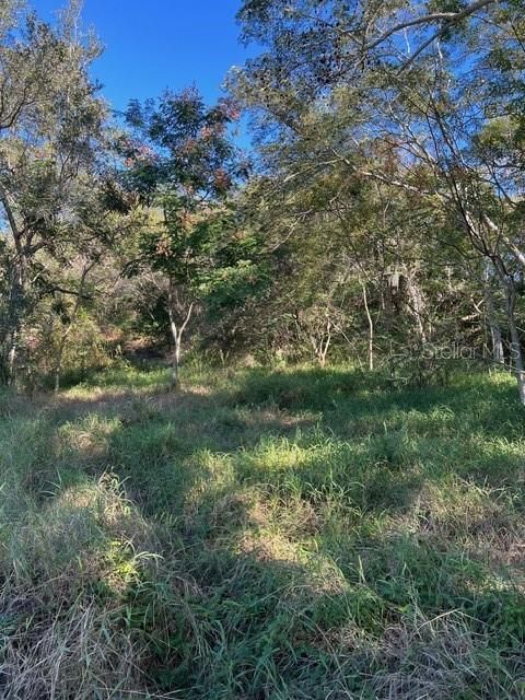 Recently Sold: $750,000 (2.44 acres)