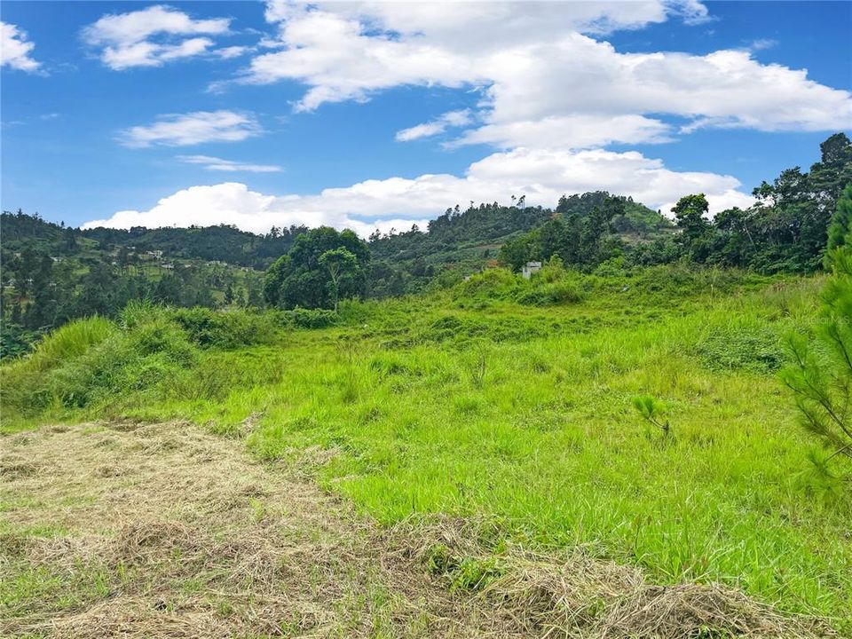 Vendido Recientemente: $189,000 (13.94 acres)