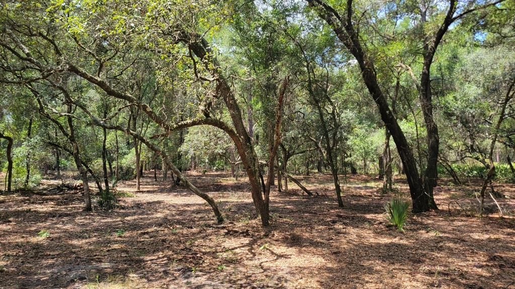 Vendido Recientemente: $159,900 (10.28 acres)