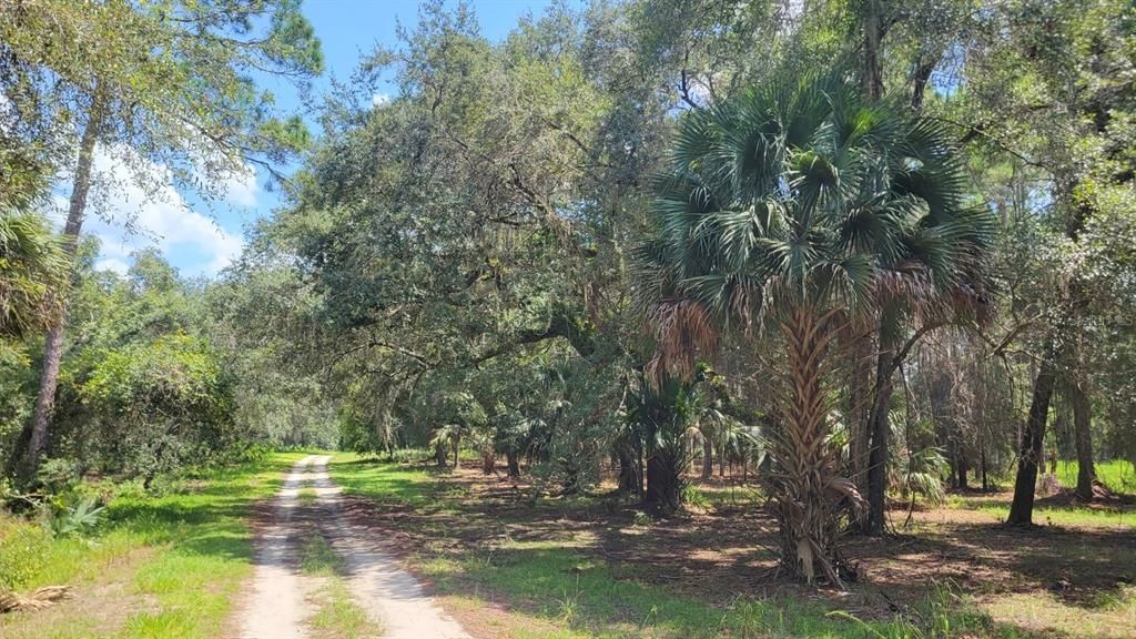 Recently Sold: $159,900 (10.28 acres)