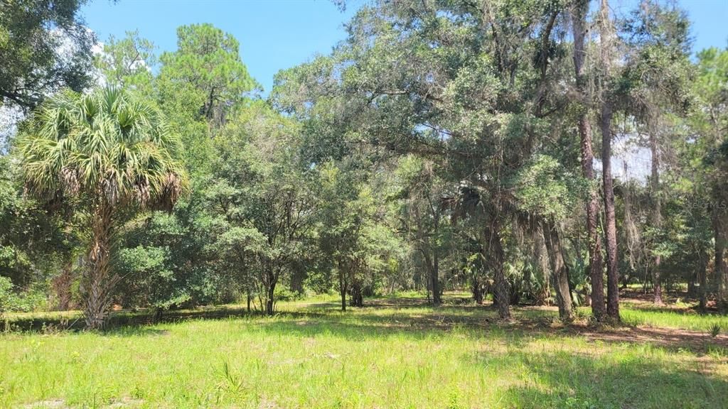 Recently Sold: $159,900 (10.28 acres)