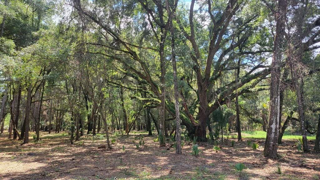 Recently Sold: $159,900 (10.28 acres)