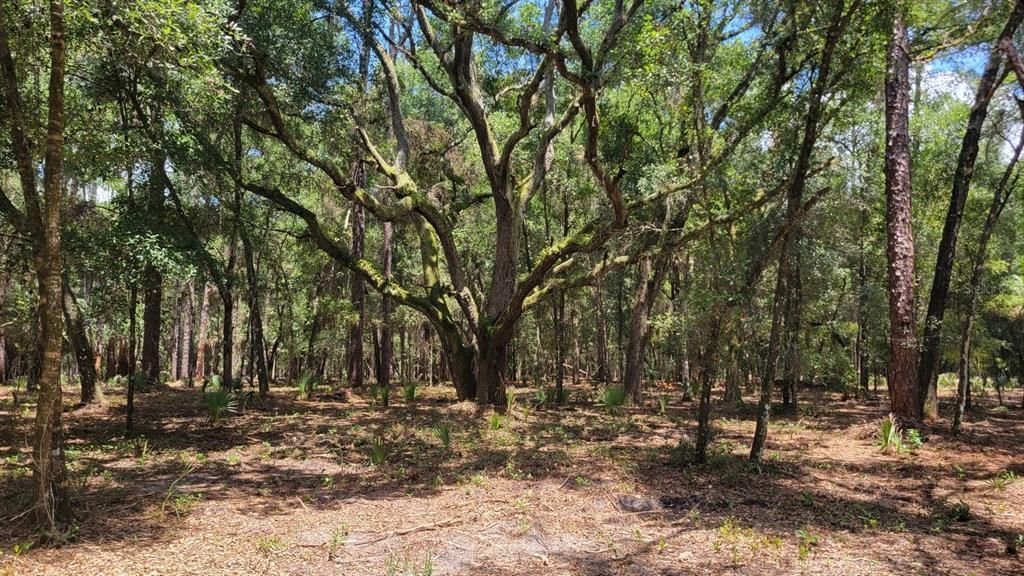 Recently Sold: $159,900 (10.28 acres)