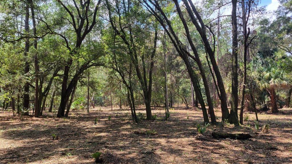 Vendido Recientemente: $159,900 (10.28 acres)