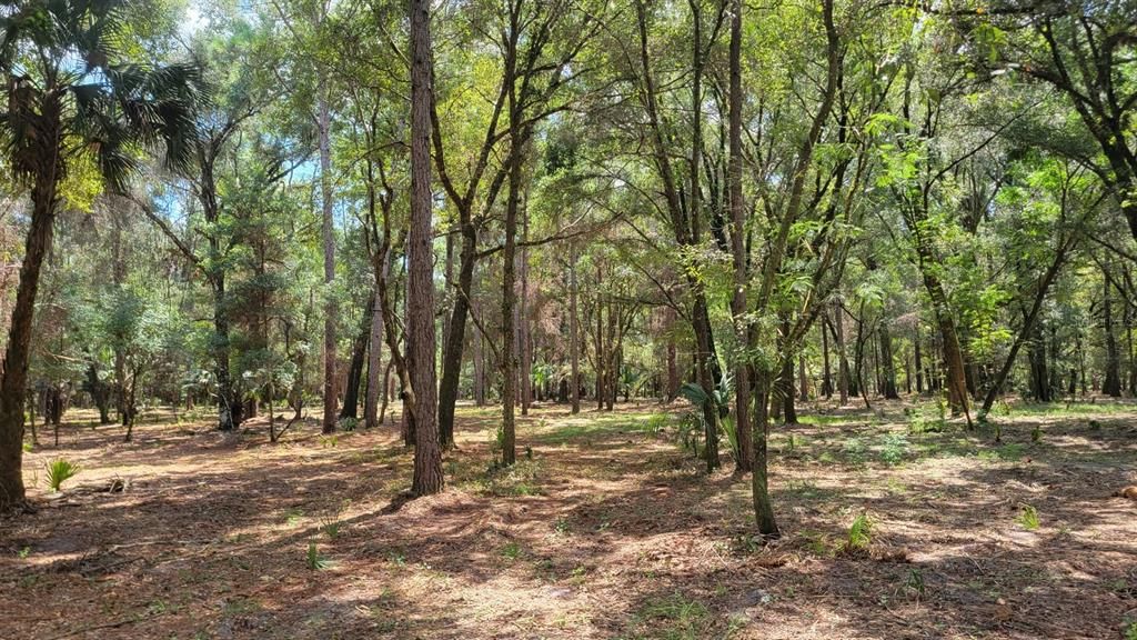 Recently Sold: $159,900 (10.28 acres)