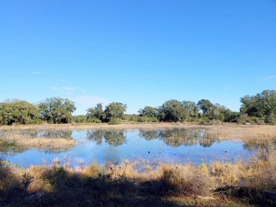 Недавно продано: $99,900 (14.78 acres)