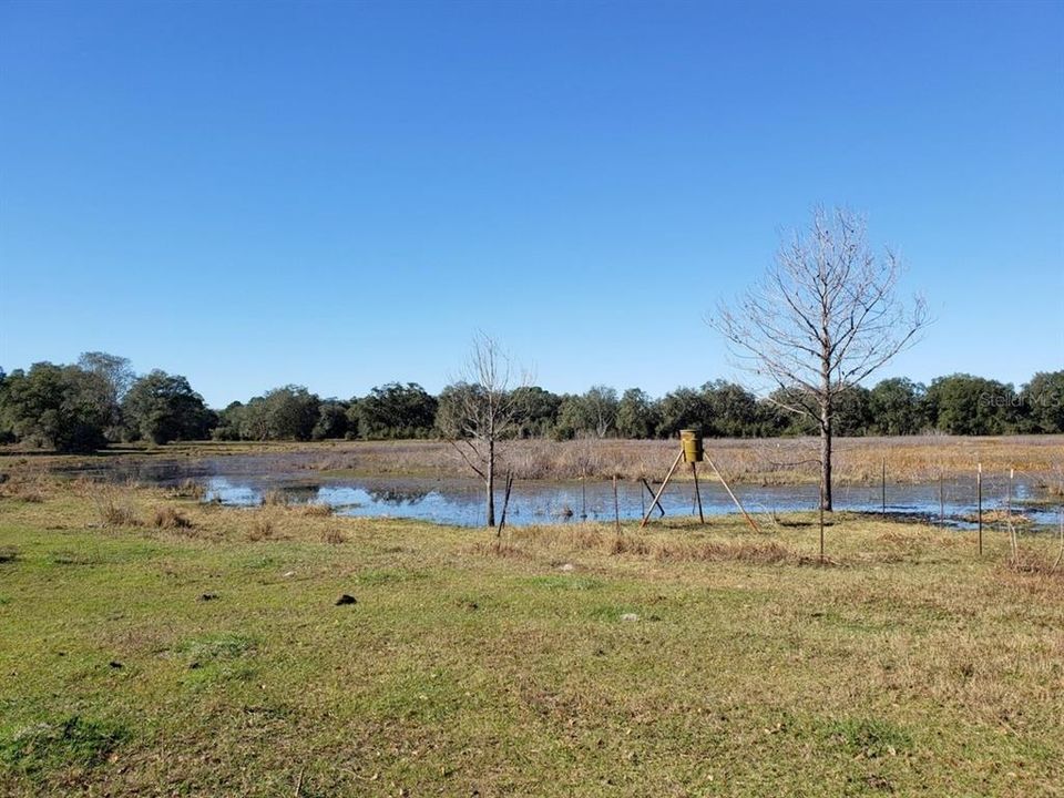 Recently Sold: $109,900 (11.60 acres)