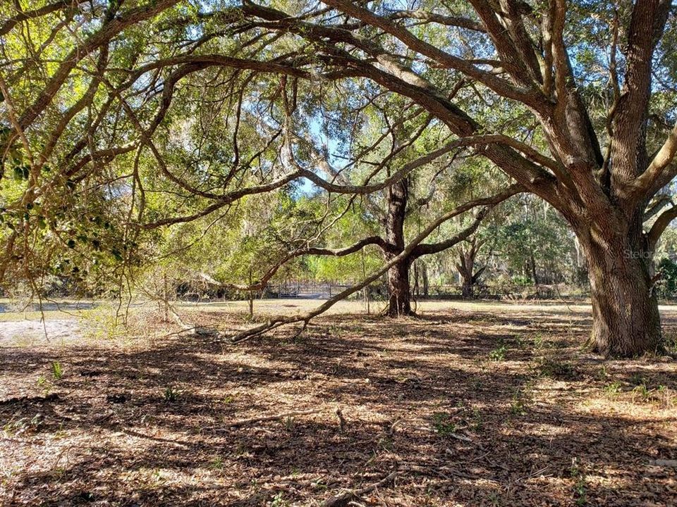 Недавно продано: $99,900 (10.08 acres)