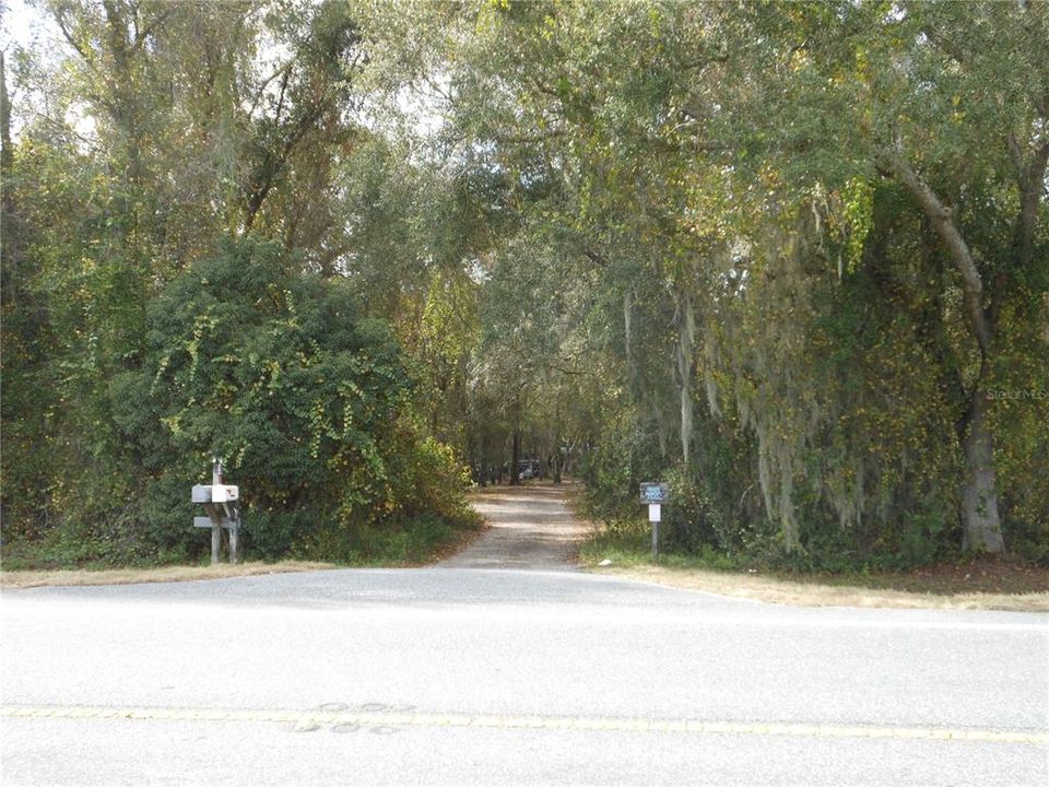 Driveway Entrance